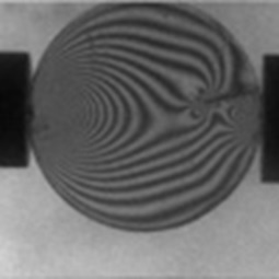 High Resolution Video Data Capture Up To 5 Million Frames / Second